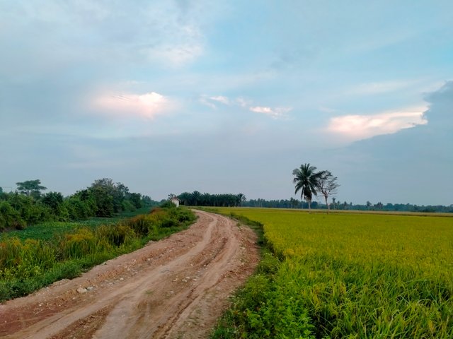 IMG20210917182548.jpg