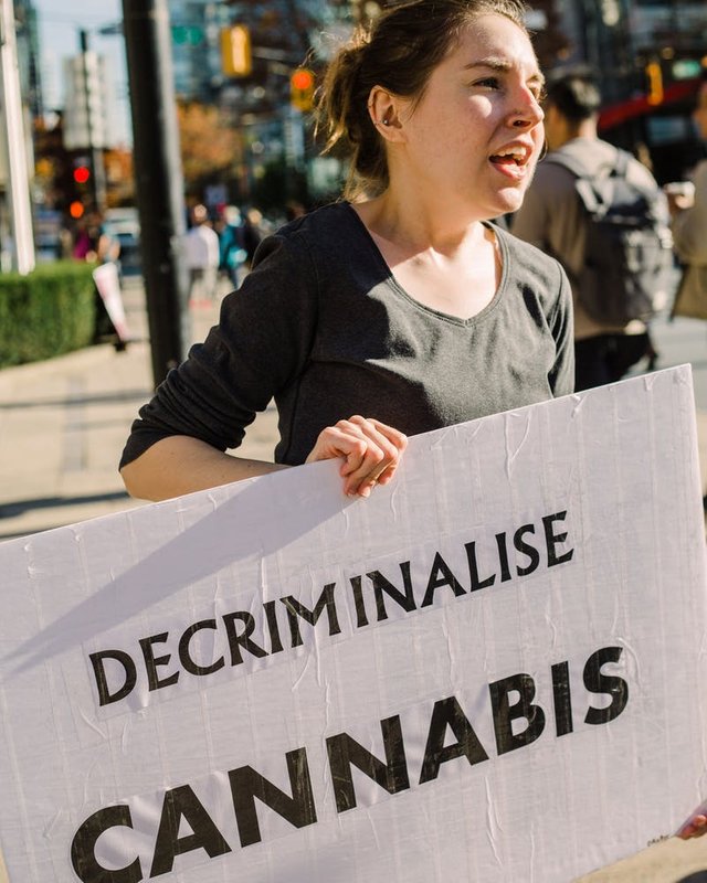 Meet-The-People-Being-Hurt-By-Canadian-Legalization555.jpg