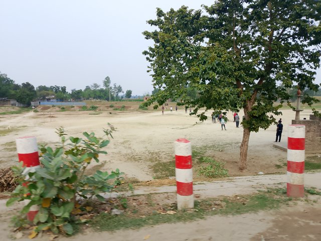 1000037968.jpg
