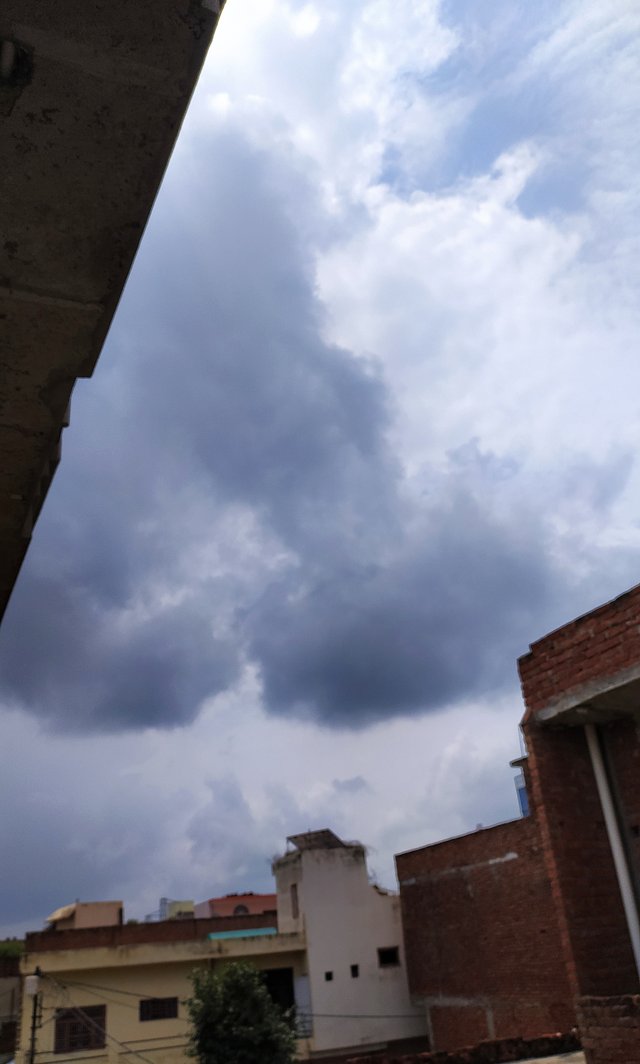 IMG_20200817_093228.jpg