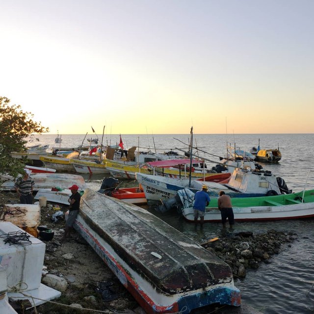 Campeche fishing boats 1.jpg