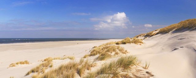 waddeneiland-strand-terschelling.jpeg