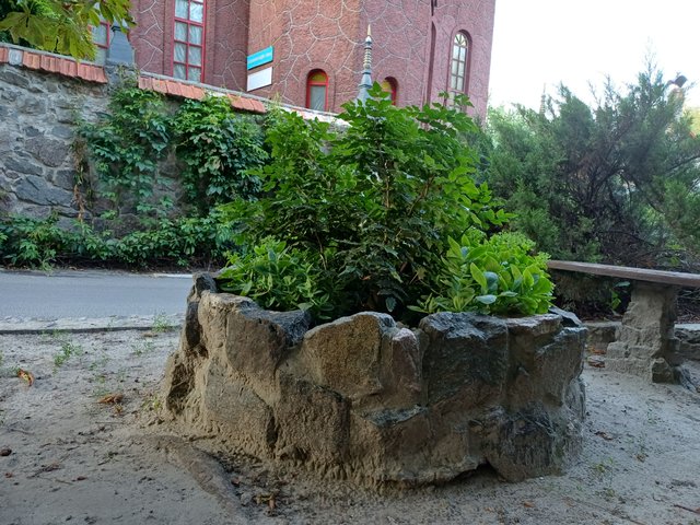 20250725_194011.jpg