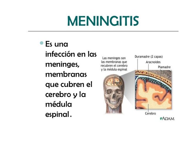 meningitis-1-728.jpg