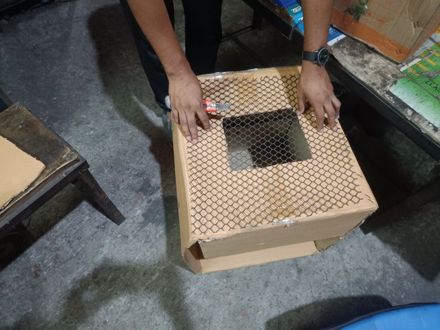 IMG20250511102655.jpg
