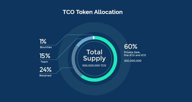 token allocation.JPG