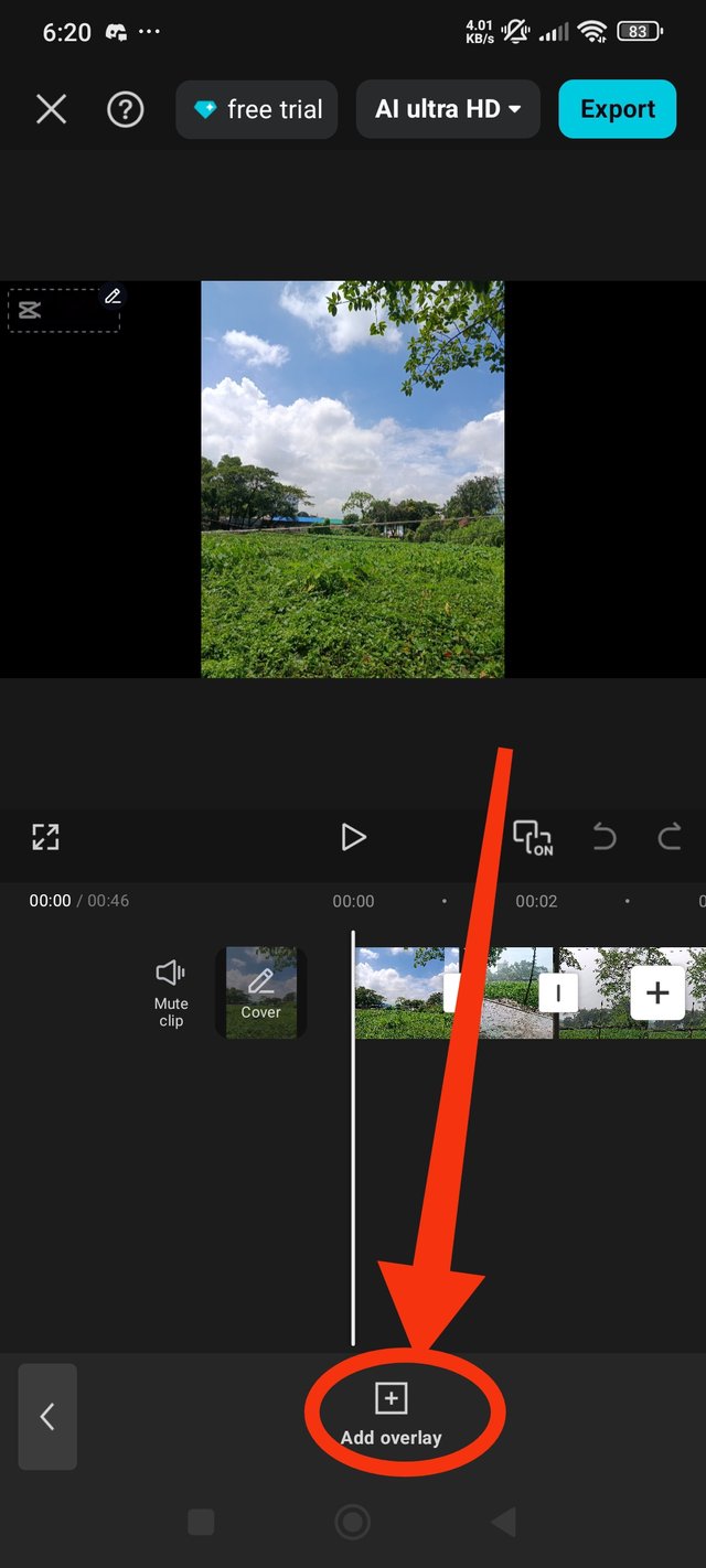 1000000508.jpg