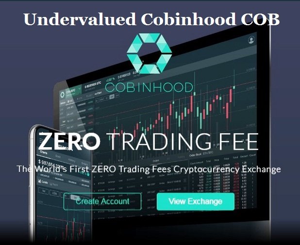 Undervalued Cobinhood COB-1.jpg