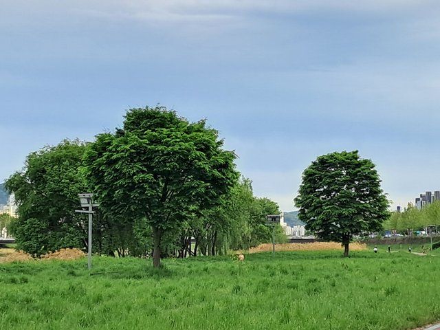1000010438.jpg