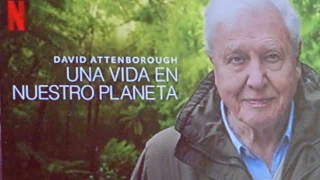 Attenborough (2).jpg