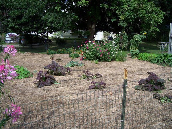 Big garden - finished looking northwest crop Sept. 2018.jpg