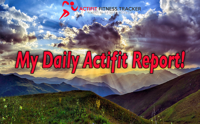 daily actifit report.png