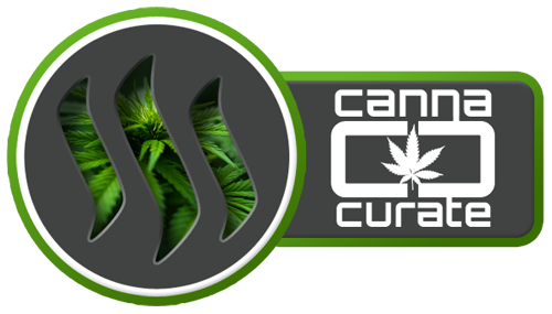 cannacurate logo.png