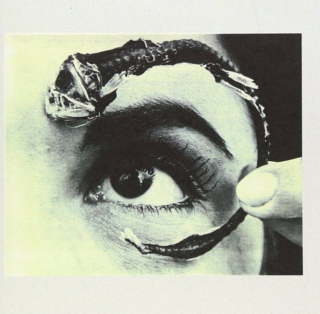 Bienvenidos — Mr. Bungle