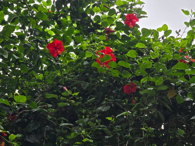 20240704_091227.jpg