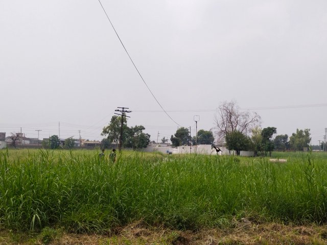 IMG_20250816_124520.jpg