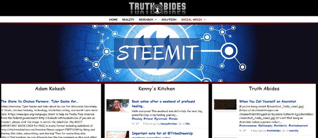 Steemit_Page1000x435.jpg