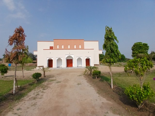 1000081996.jpg