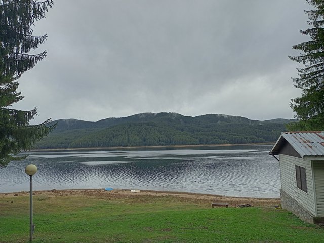IMG_20251008_104653.jpg