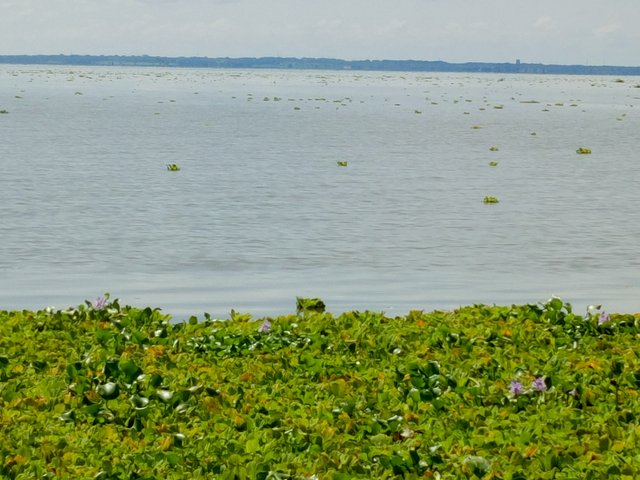 IMG_20251005_102131_808.jpg