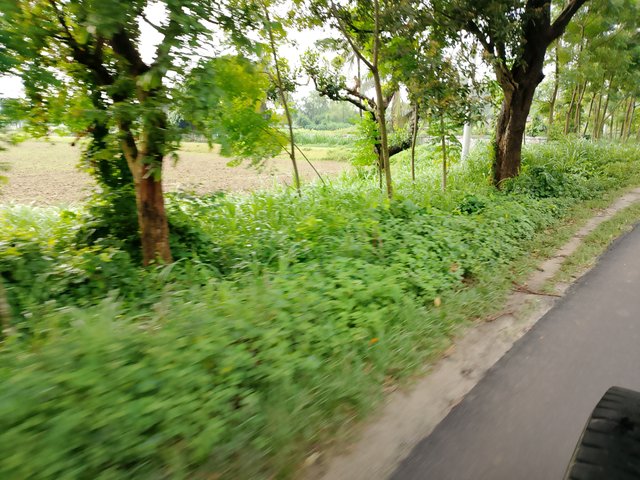 1000045021.jpg