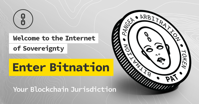 bitnation header pat.png