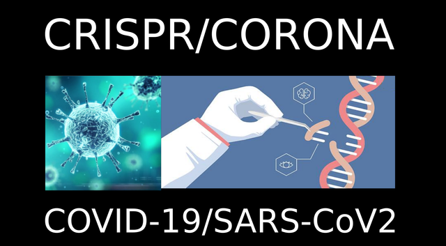 CRISPR-CORONA.png