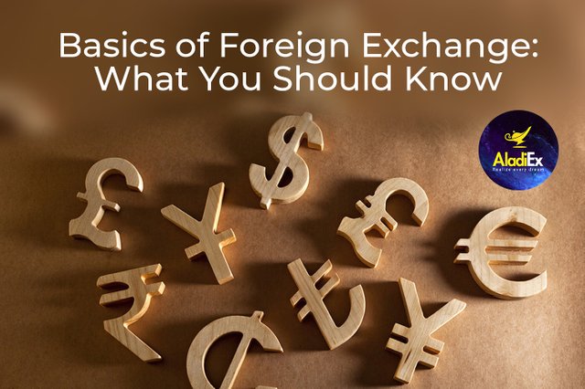 Blog_Basics of Foreign Exchange- What You Should Know.jpg