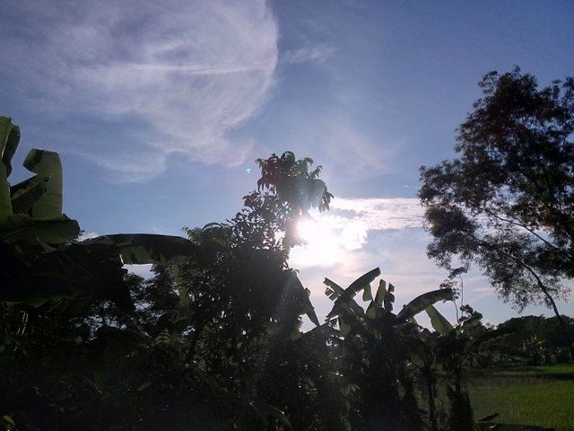 IMG_20240827_171309_761.jpg