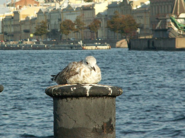 PICT0024-2.jpg