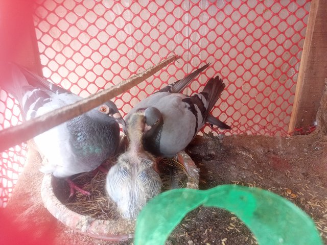 IMG20250613120825.jpg