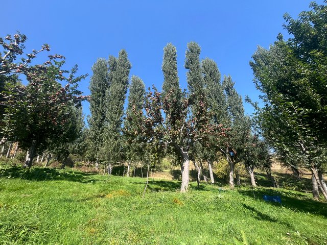 IMG_5016.jpeg