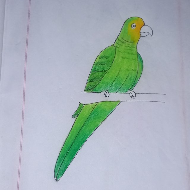 20250708_121741.jpg