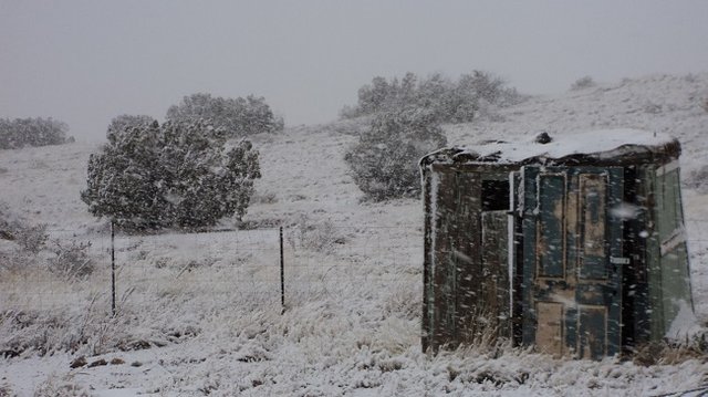 The Best Outhouse In The White Mountains, Arizona.jpg