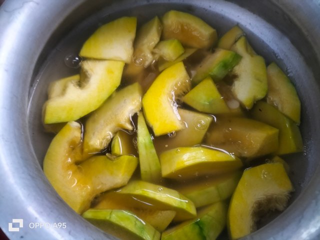IMG20250411180439.jpg