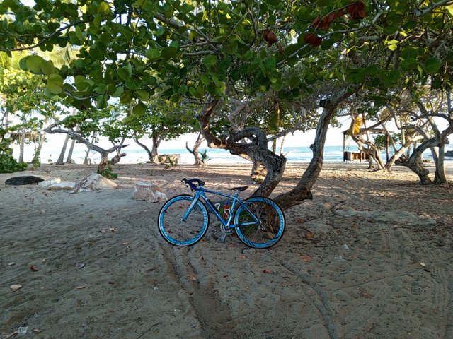 IMG_20250118_072012_019.jpg