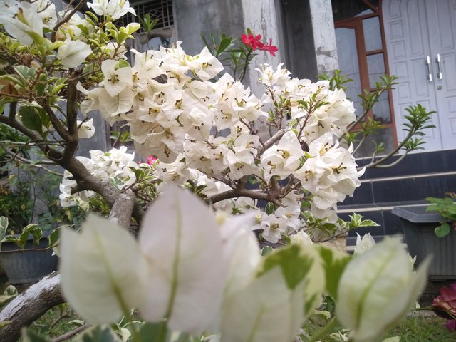 IMG20210405180159.jpg