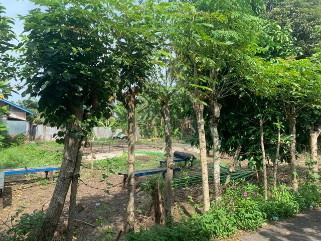IMG_1445.jpeg