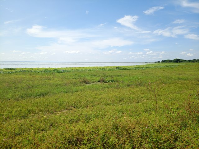 IMG_20251005_101818_544.jpg