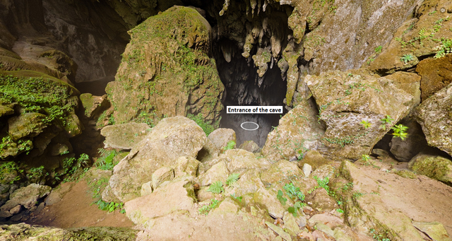 son doong1a.jpg