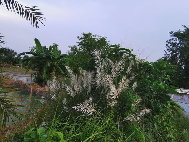 IMG_20240912_175817.jpg
