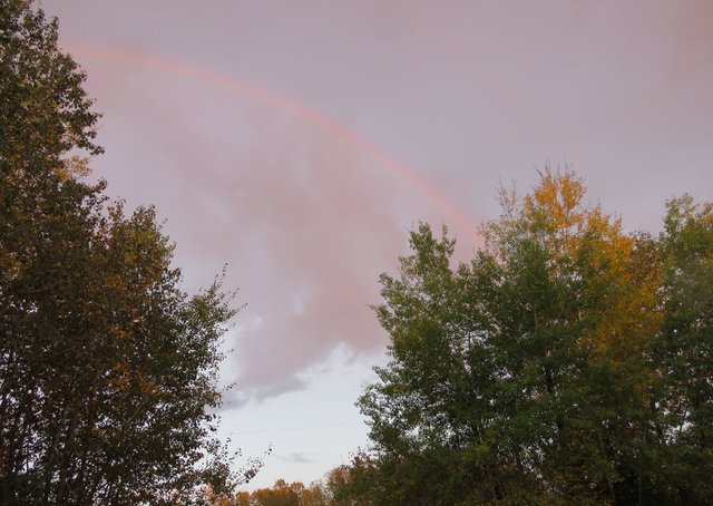 rainbow appearing at the road to Wilfs.JPG