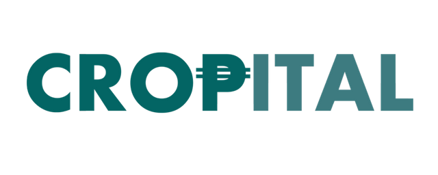 Cropital-Logo4-1024x410.png