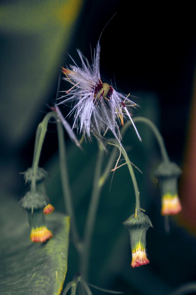 2022_06_20__053300.jpg