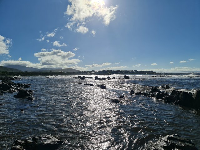 20240118_081319.jpg