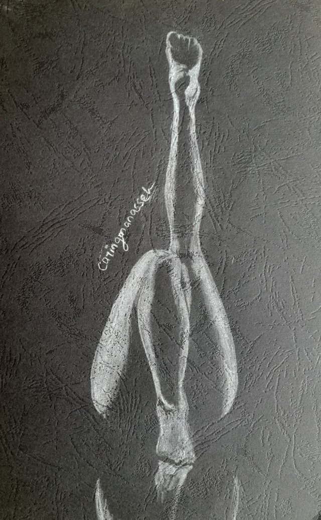 20250429_113940.jpg