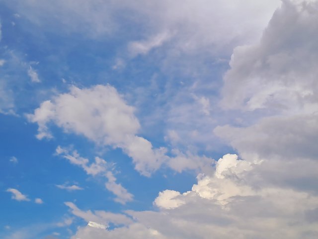 20250713_154659.jpg