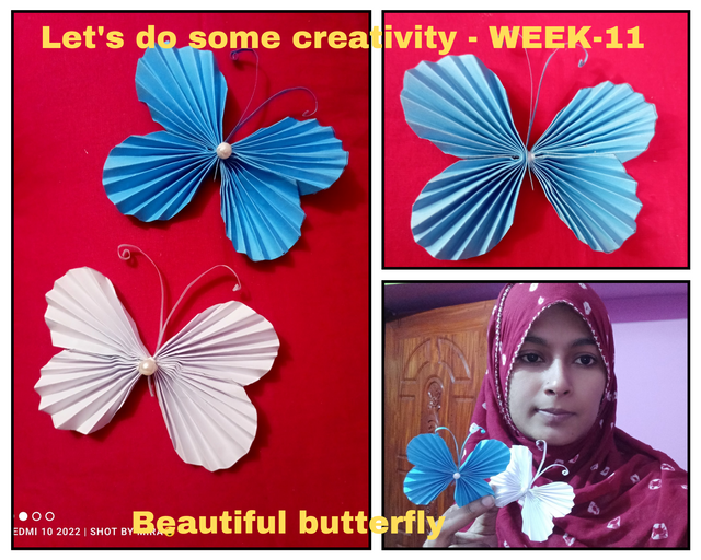 Let's do some creativity - WEEK-11_20250513_201230_0000.png