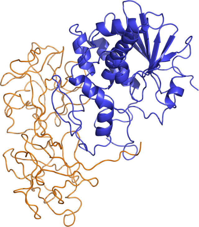 2018-07 - Ricin_structure.jpg