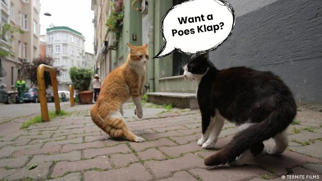 want-a-poes-clup.jpg